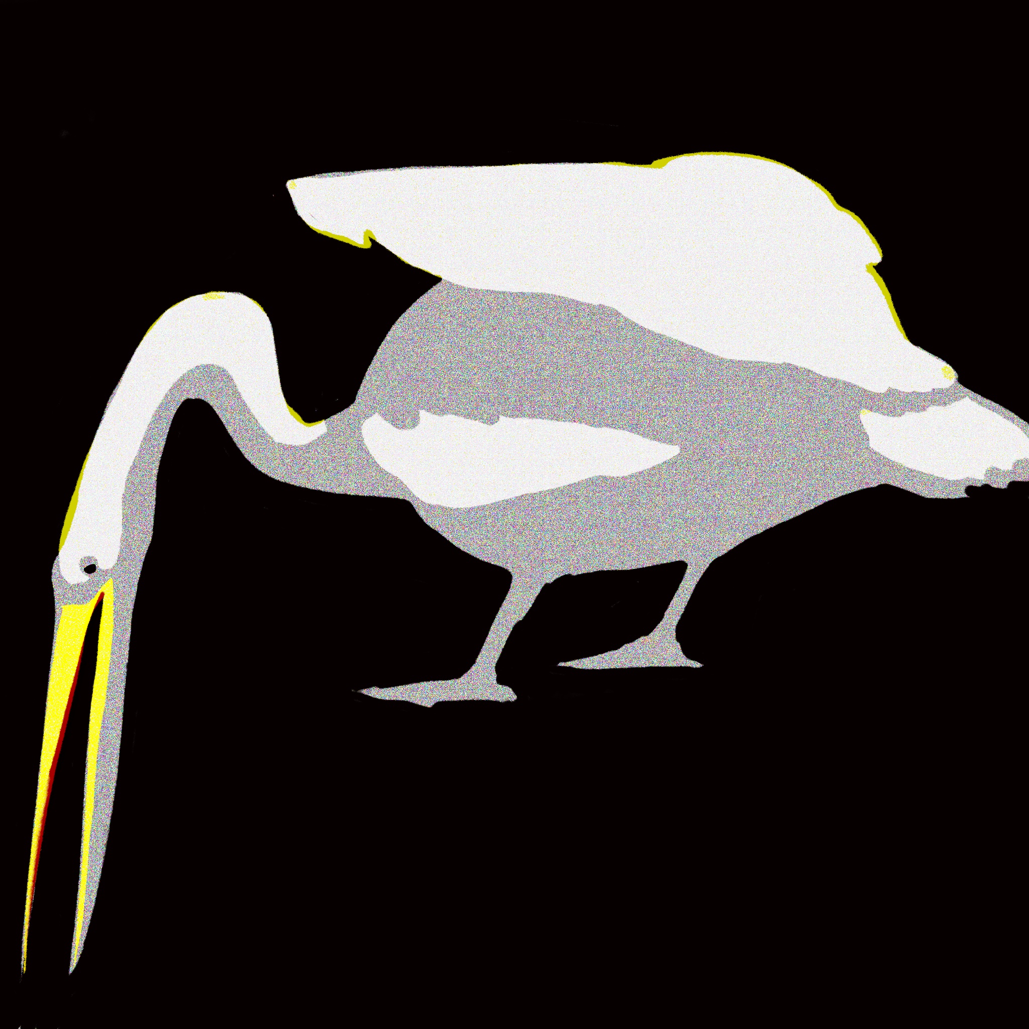 pelican01